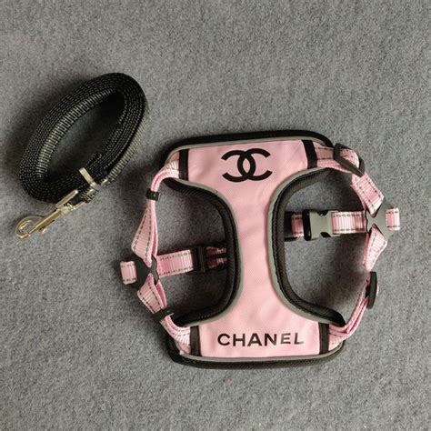 fake chanel dog carrier|chanel dog harness.